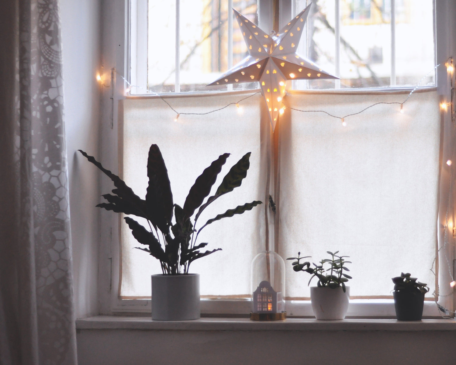 for the home