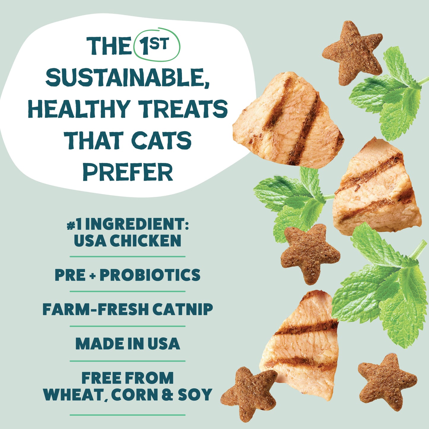 Catnip N Chill Crunchy Cat Treats - Chicken