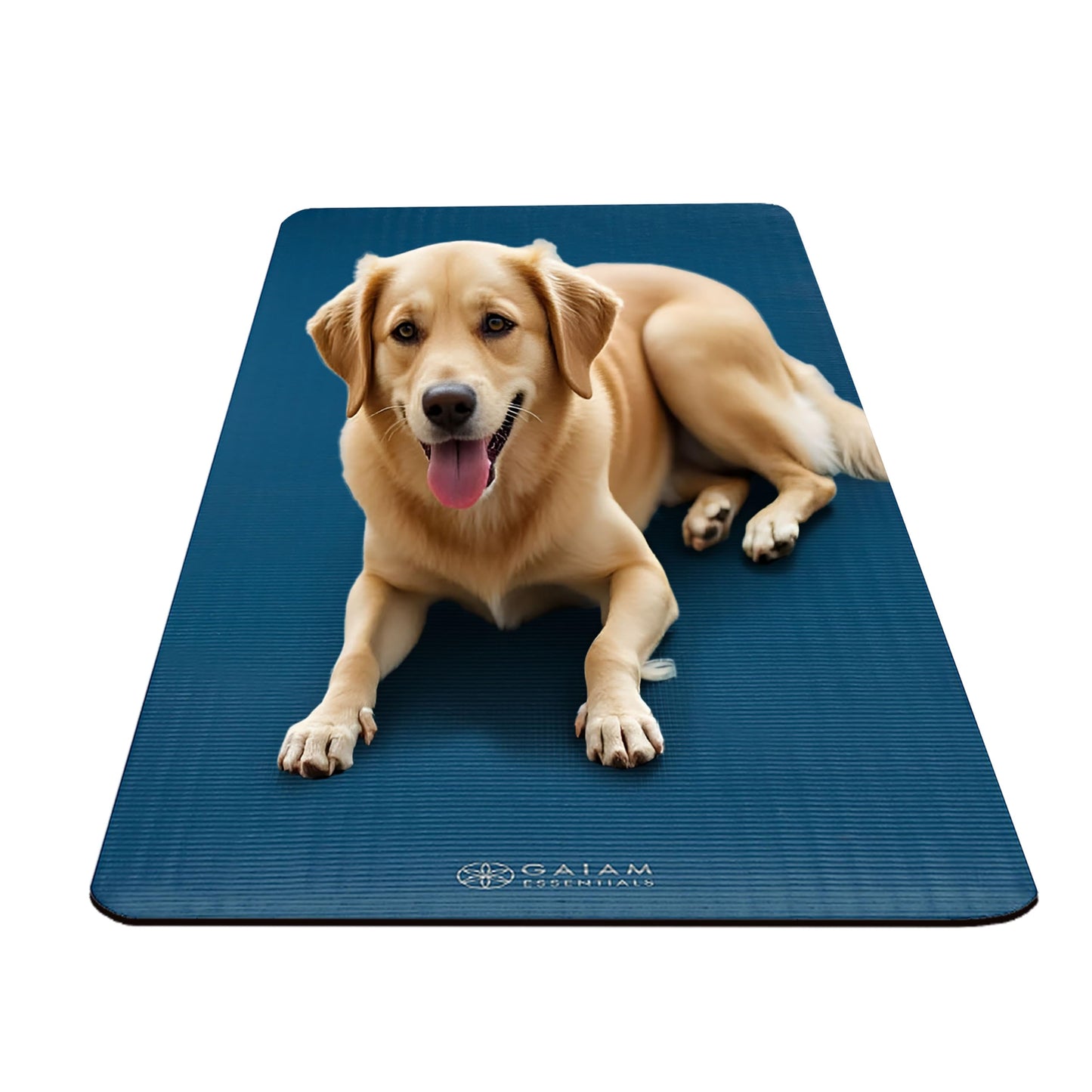 Gaiam Yoga Mat, Pilates & Exercise Mat, Thick 2/5" (10mm) Workout Mat with Easy-Cinch Carrying Strap for Home & Gym Workouts