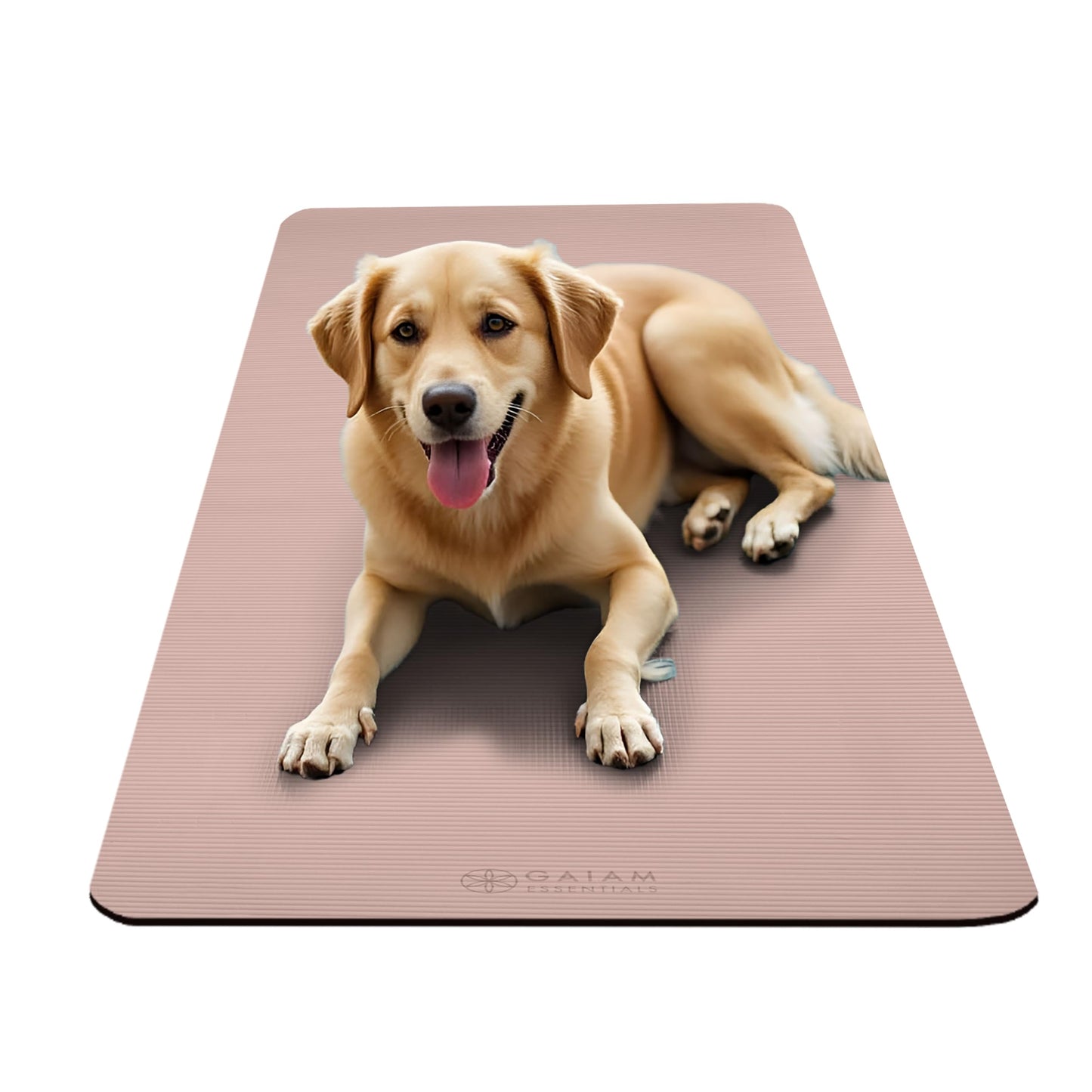 Gaiam Yoga Mat, Pilates & Exercise Mat, Thick 2/5" (10mm) Workout Mat with Easy-Cinch Carrying Strap for Home & Gym Workouts