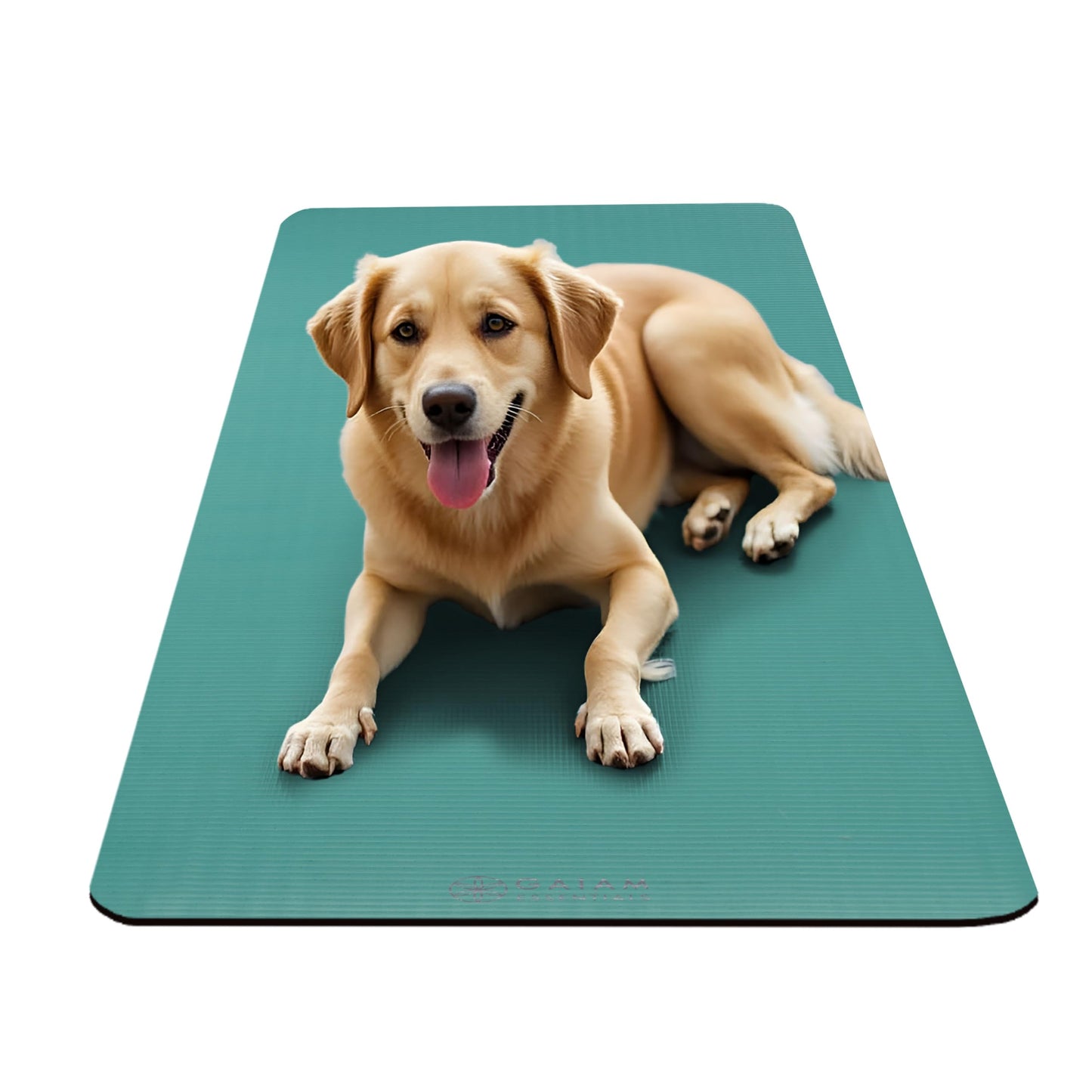 Gaiam Yoga Mat, Pilates & Exercise Mat, Thick 2/5" (10mm) Workout Mat with Easy-Cinch Carrying Strap for Home & Gym Workouts
