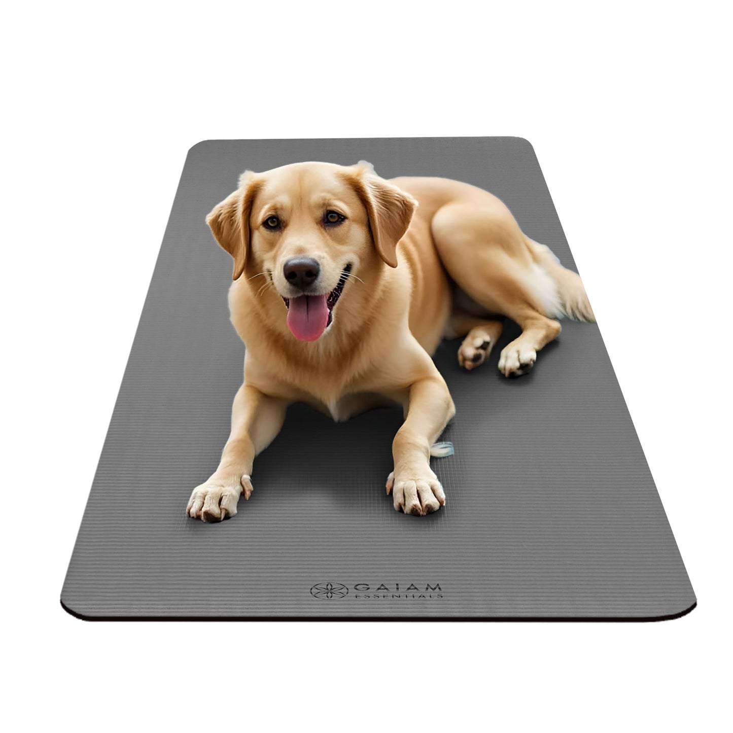 Gaiam Yoga Mat, Pilates & Exercise Mat, Thick 2/5" (10mm) Workout Mat with Easy-Cinch Carrying Strap for Home & Gym Workouts
