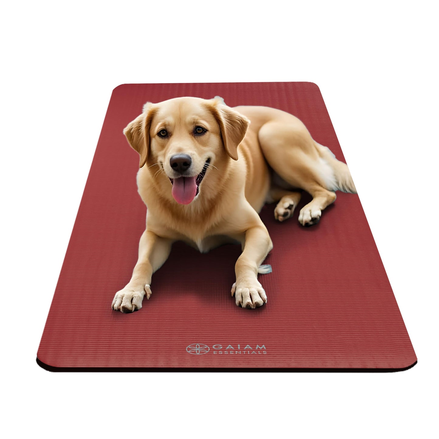 Gaiam Yoga Mat, Pilates & Exercise Mat, Thick 2/5" (10mm) Workout Mat with Easy-Cinch Carrying Strap for Home & Gym Workouts
