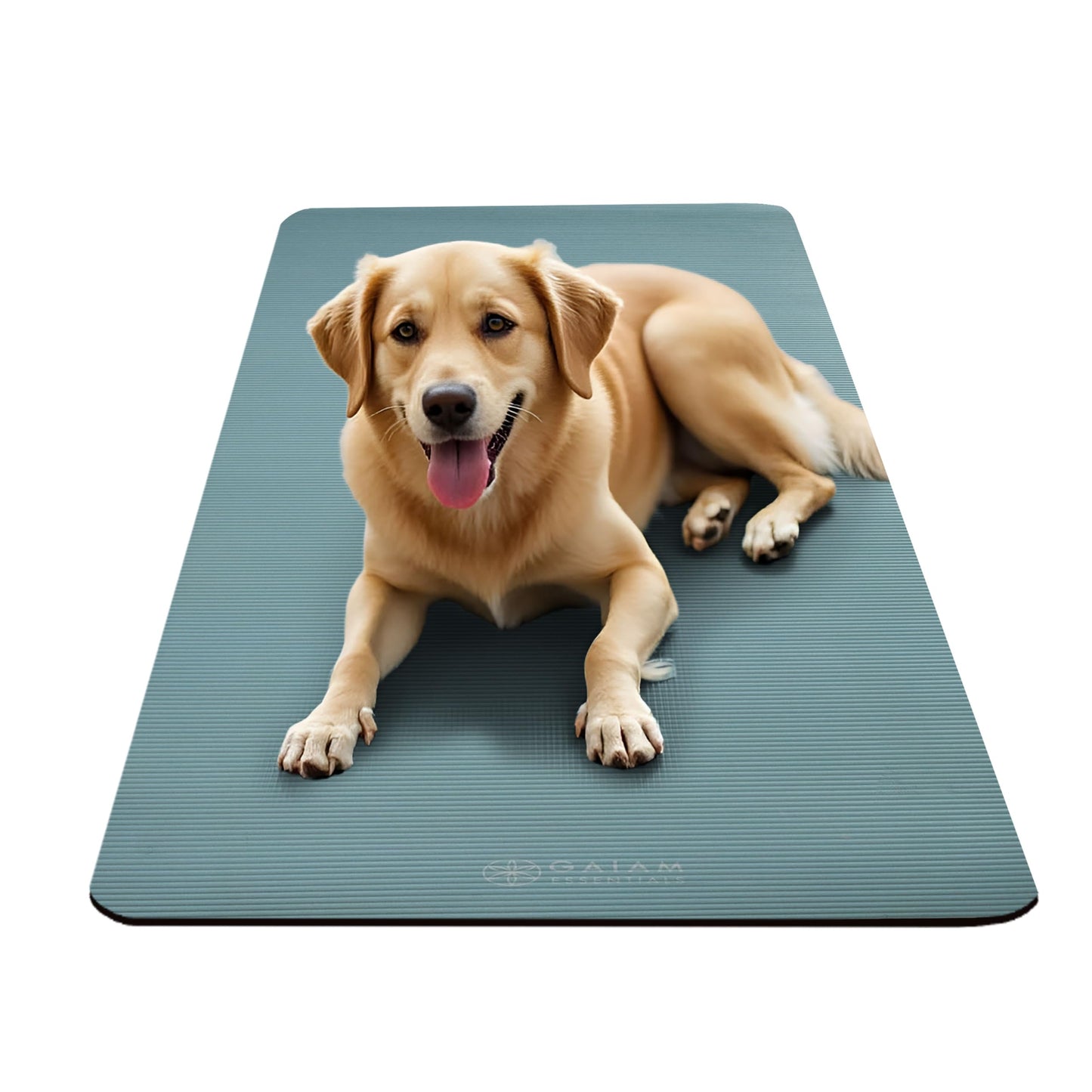 Gaiam Yoga Mat, Pilates & Exercise Mat, Thick 2/5" (10mm) Workout Mat with Easy-Cinch Carrying Strap for Home & Gym Workouts