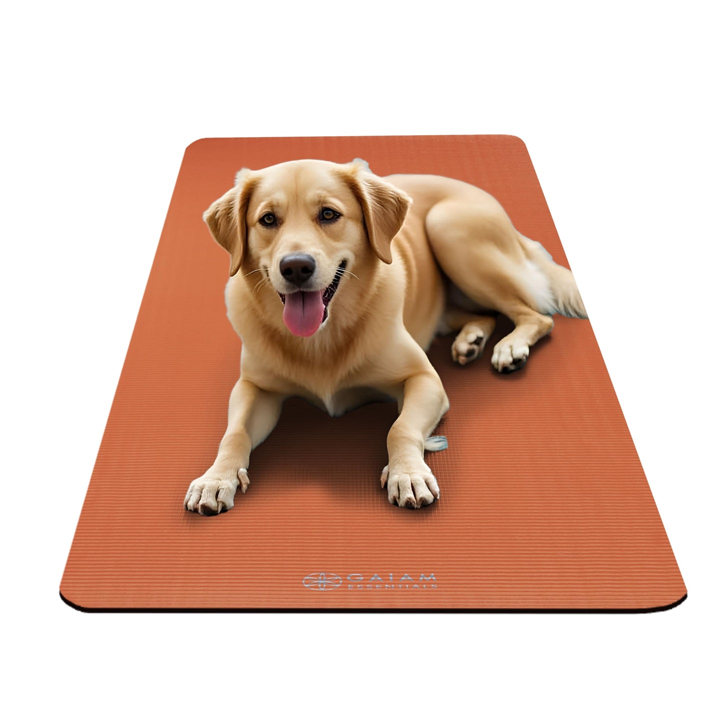 Gaiam Yoga Mat, Pilates & Exercise Mat, Thick 2/5" (10mm) Workout Mat with Easy-Cinch Carrying Strap for Home & Gym Workouts