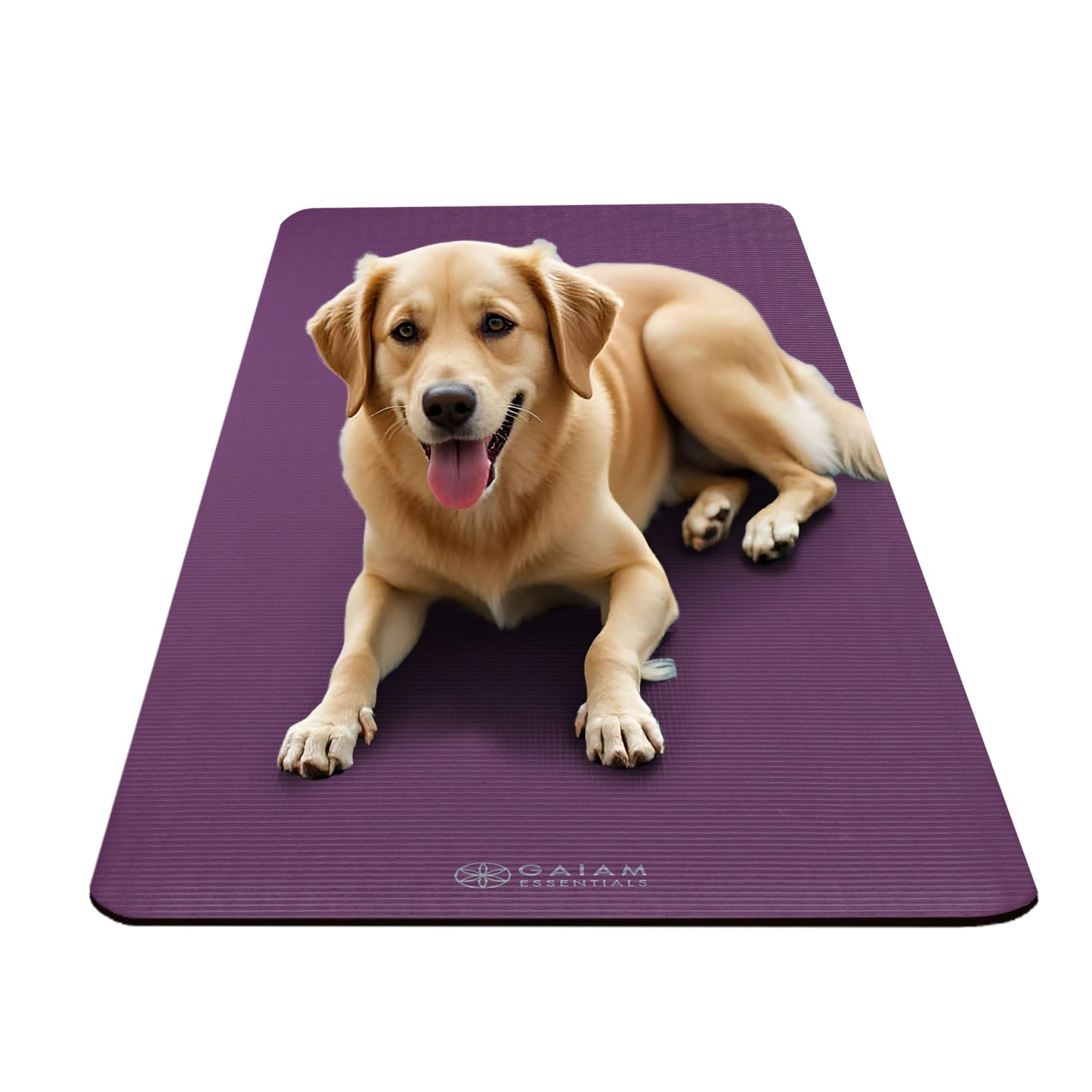 Gaiam Yoga Mat, Pilates & Exercise Mat, Thick 2/5" (10mm) Workout Mat with Easy-Cinch Carrying Strap for Home & Gym Workouts