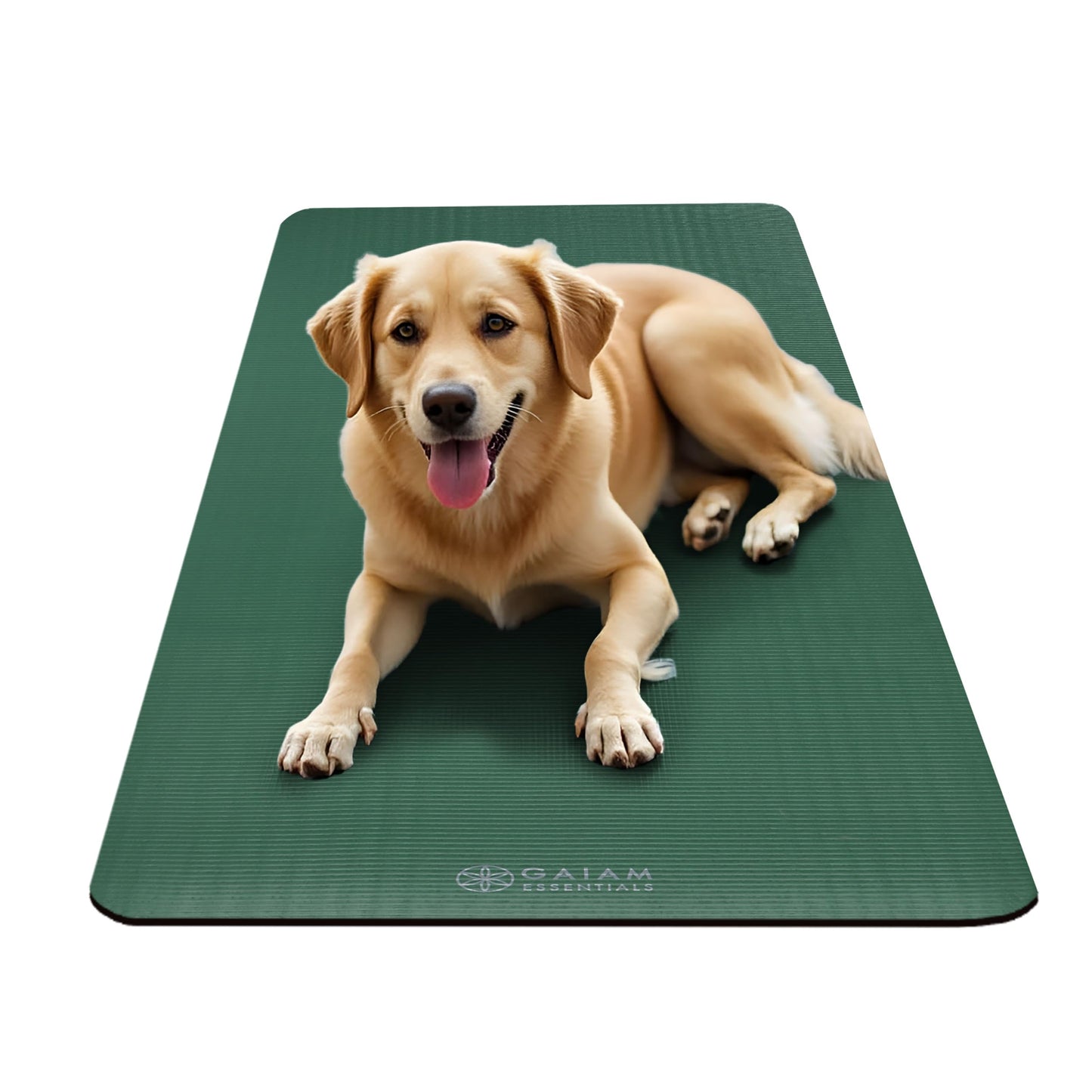 Gaiam Yoga Mat, Pilates & Exercise Mat, Thick 2/5" (10mm) Workout Mat with Easy-Cinch Carrying Strap for Home & Gym Workouts