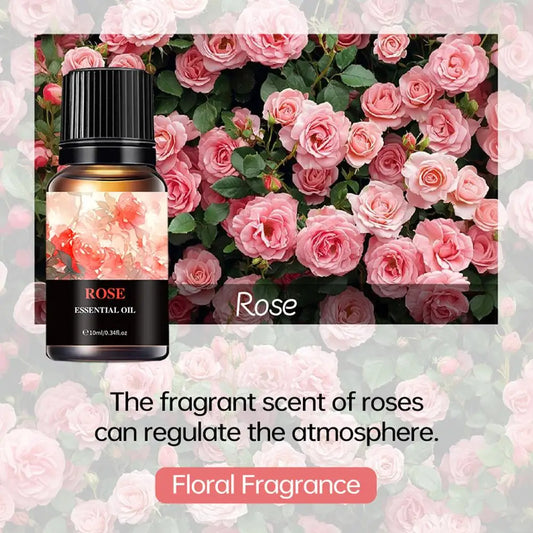 15 Flavors Essential Oils For Aroma Diffuser Air Humidifier Home Water-soluble Cherry Blossom Sandalwood Jasmine Ocean Rose 10ml
