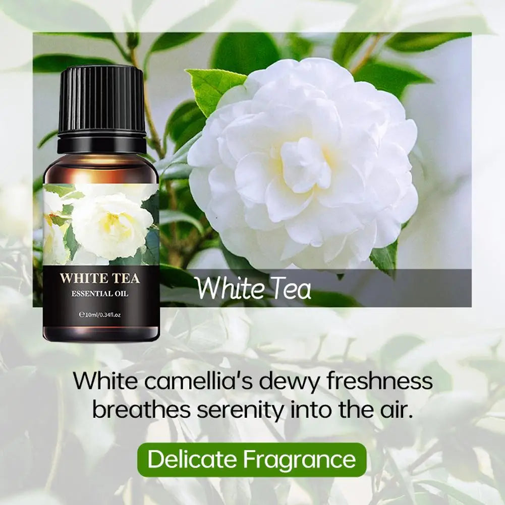 15 Flavors Essential Oils For Aroma Diffuser Air Humidifier Home Water-soluble Cherry Blossom Sandalwood Jasmine Ocean Rose 10ml